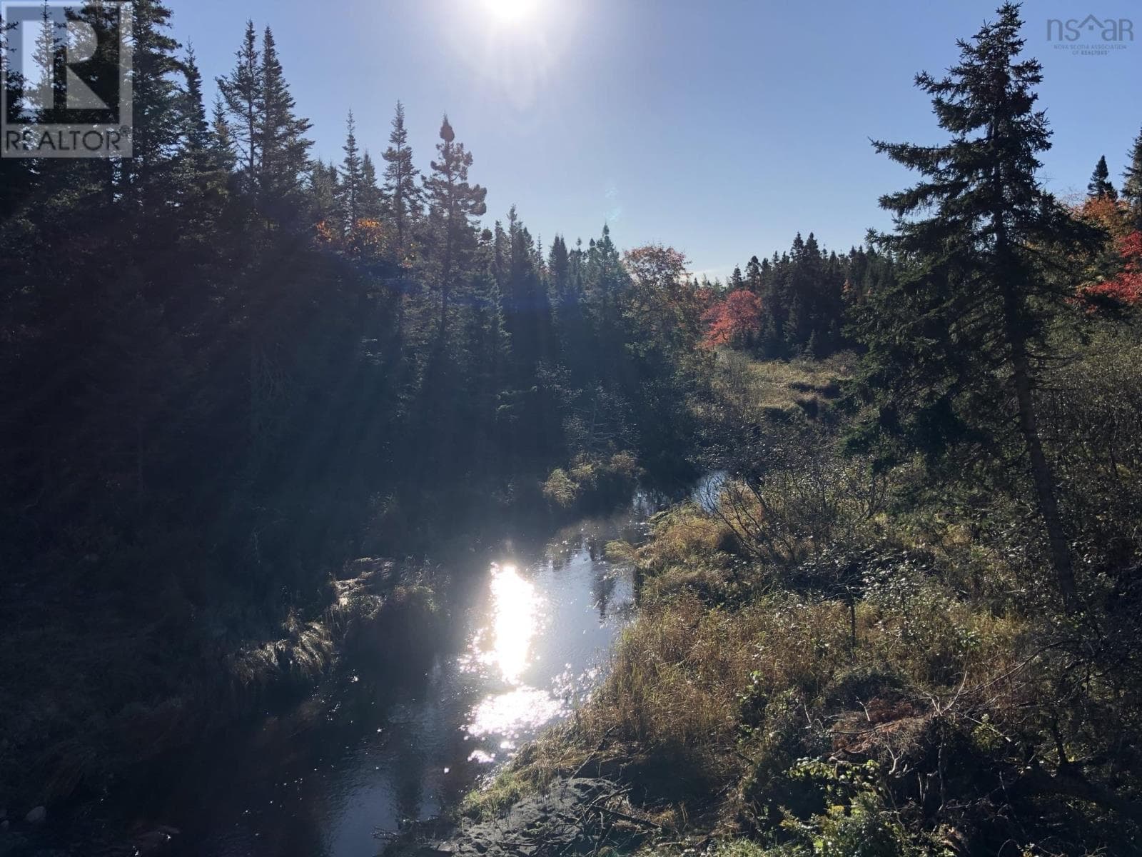 Serviced lot with well and trailer at MacMillan Lake, photo 4
