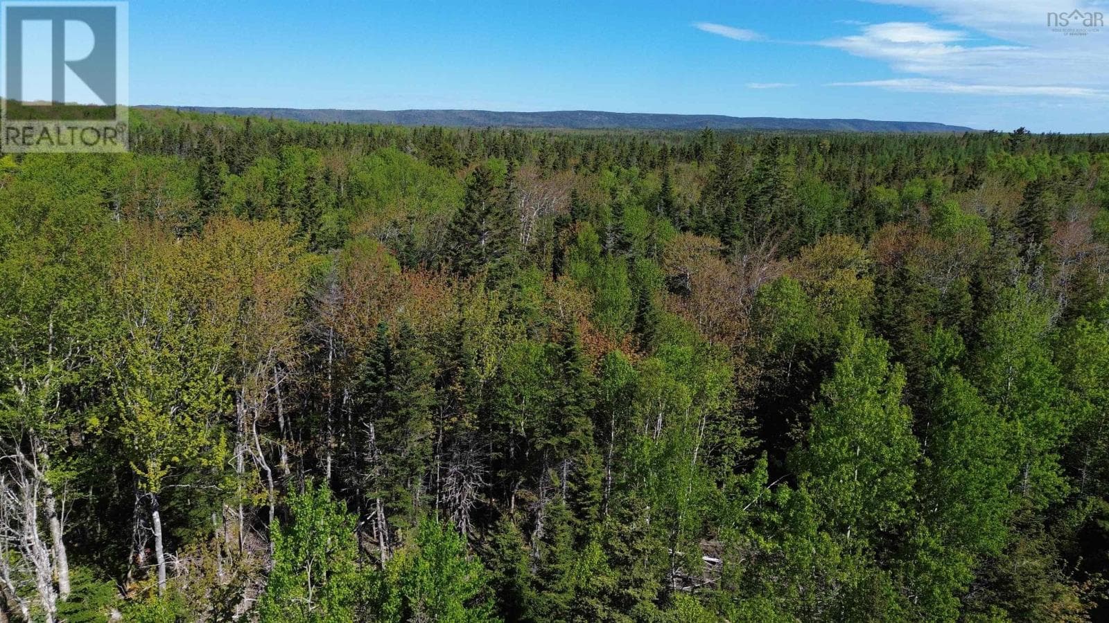 Nearly 100 acres with Bras d'Or Lake views, photo 8