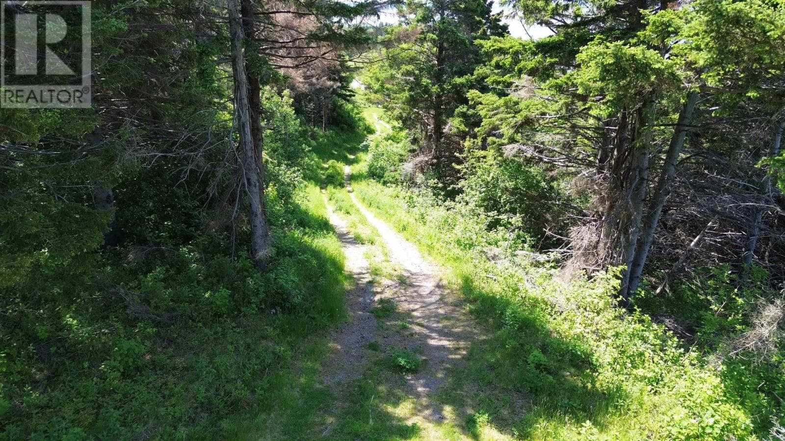 Ocean view lot on the Ceilidh Trail in Craigmore, photo 5