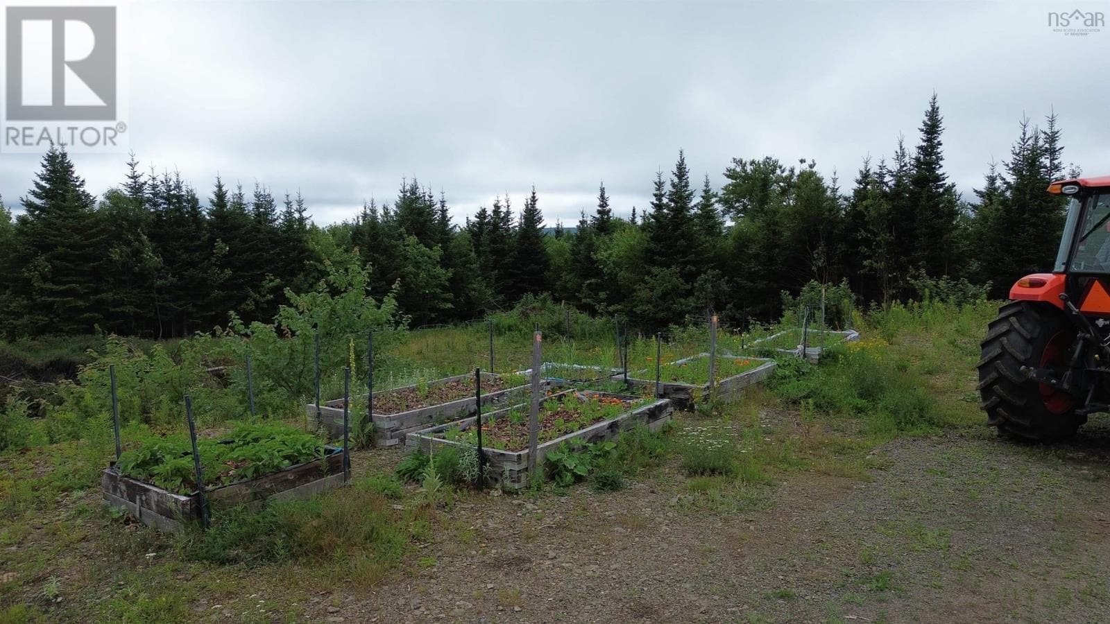 Off grid estate with five cottages near Whycocomagh, photo 4