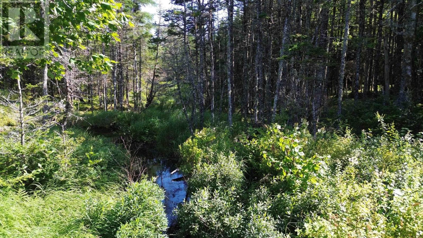 13 acre wooded lot near Lynches River, photo 2