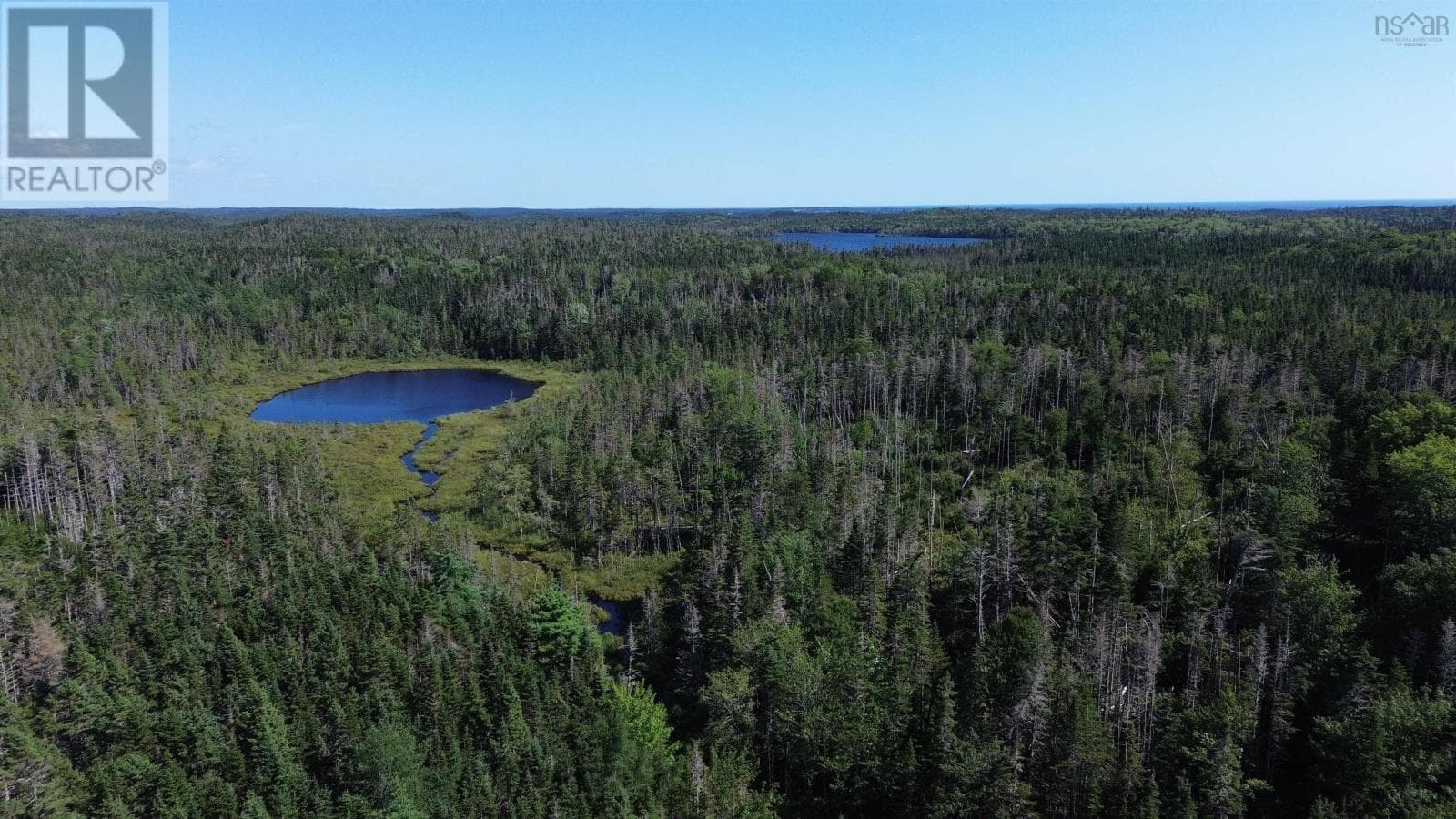 13 acre wooded lot near Lynches River, photo 3
