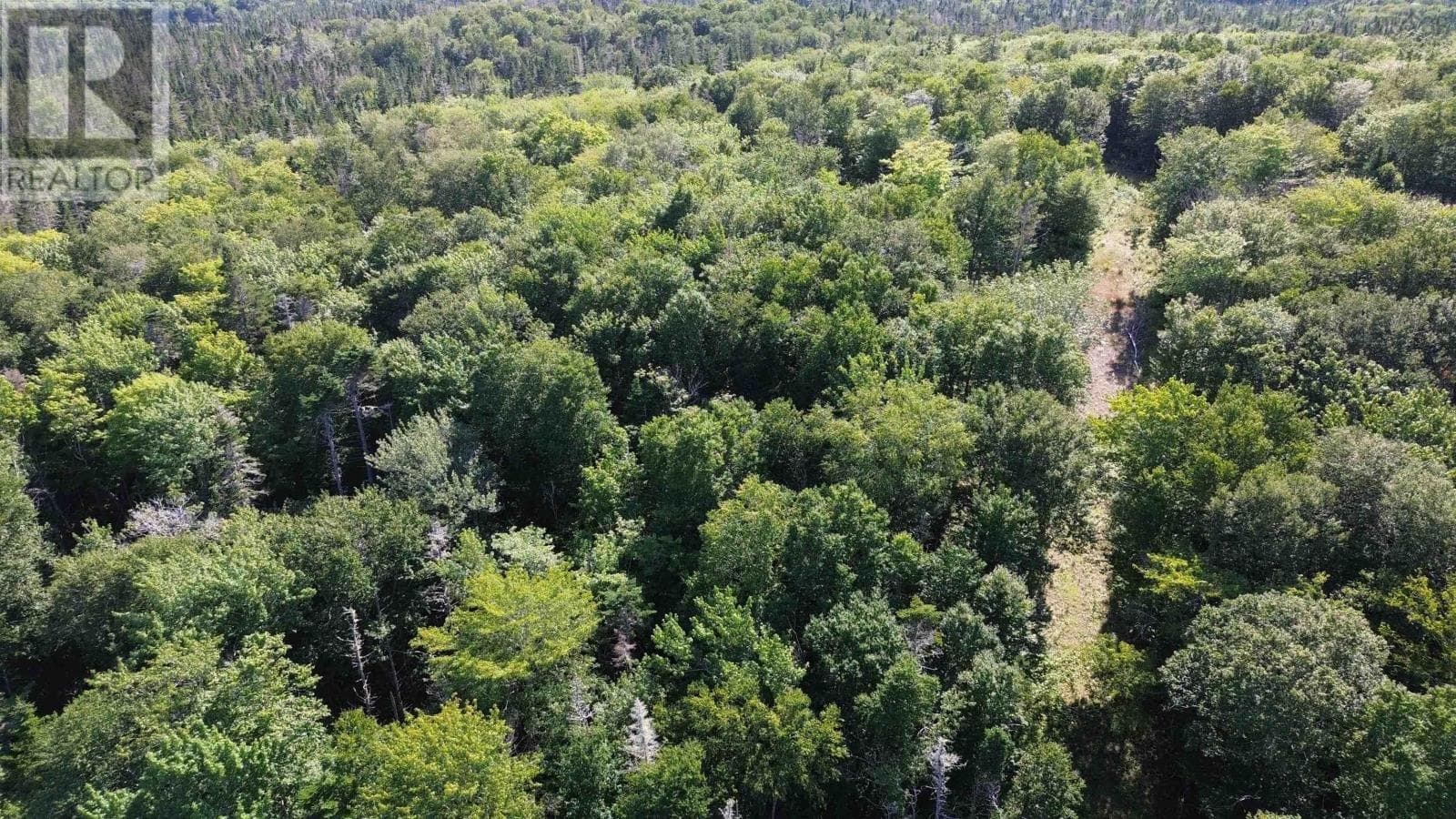 13 acre wooded lot near Lynches River, photo 7