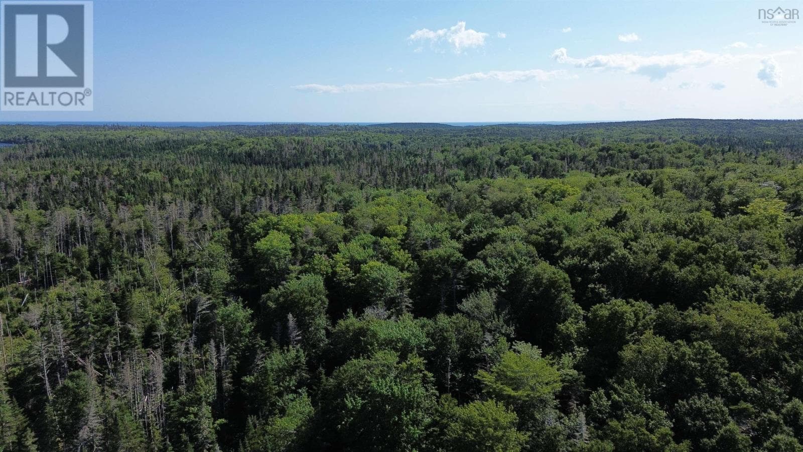 13 acre wooded lot near Lynches River, photo 8