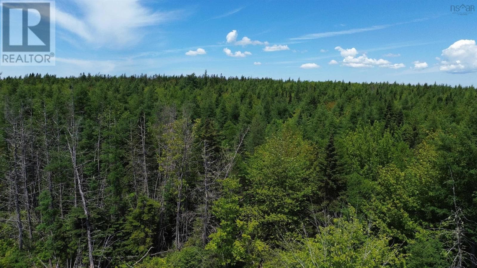 2.3 acre building lot in Grantville, photo 1
