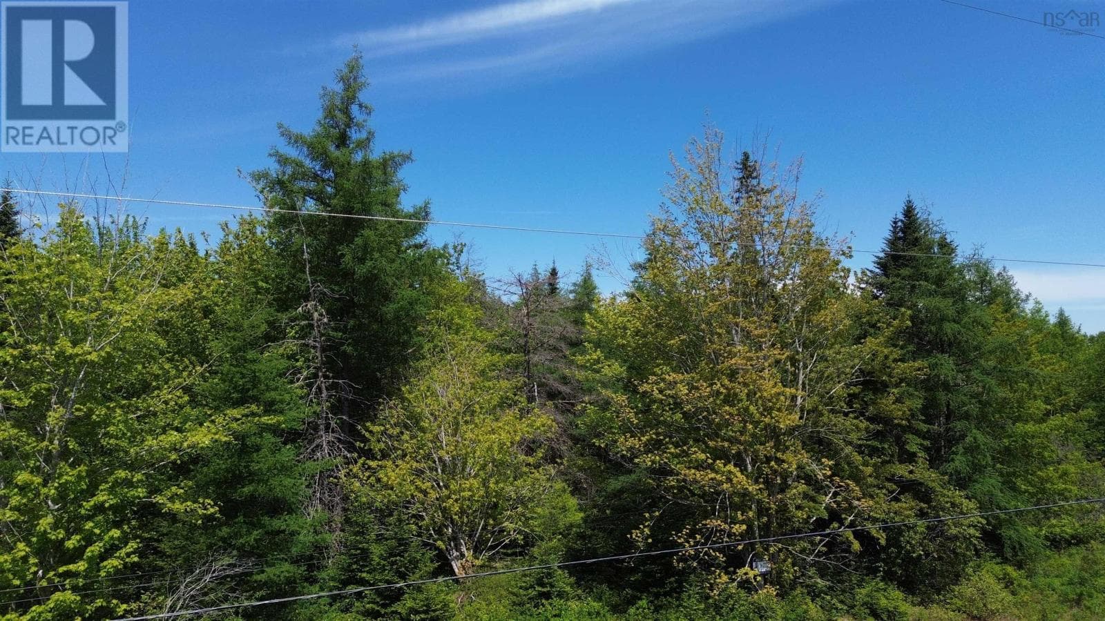 2.3 acre building lot in Grantville, photo 2