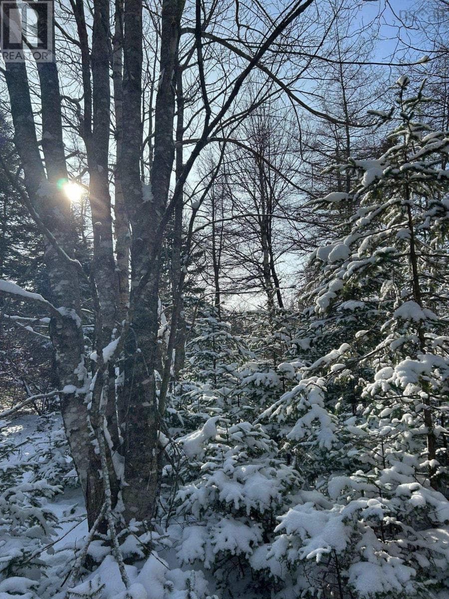 2.3 acre building lot in Grantville, photo 8