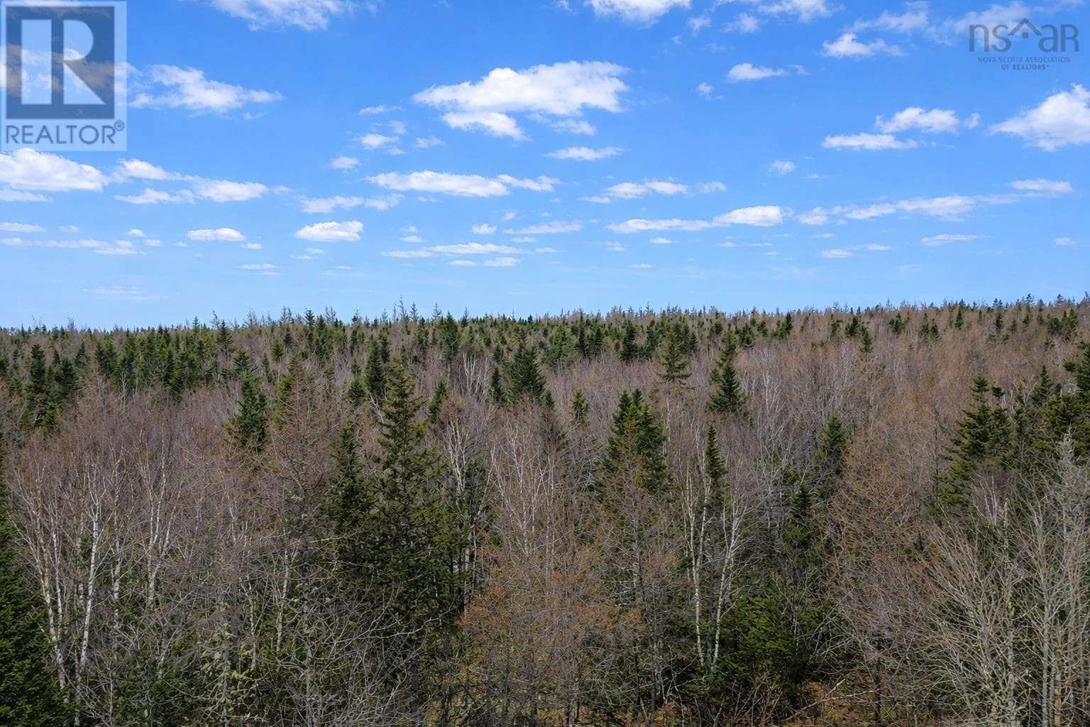 3.3 acre building lot in Grantville, photo 6