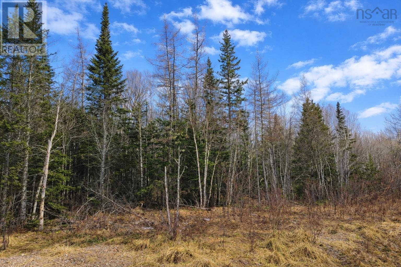 3.3 acre building lot in Grantville, photo 8