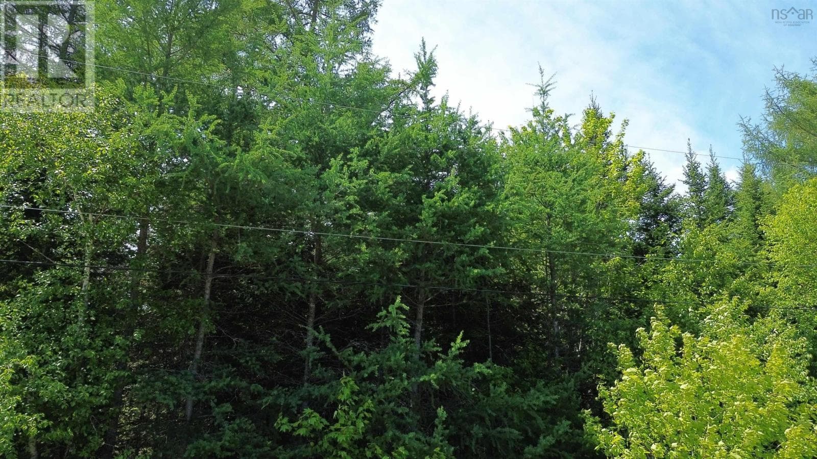 Surveyed waterfront lot on No 4 Highway, photo 1