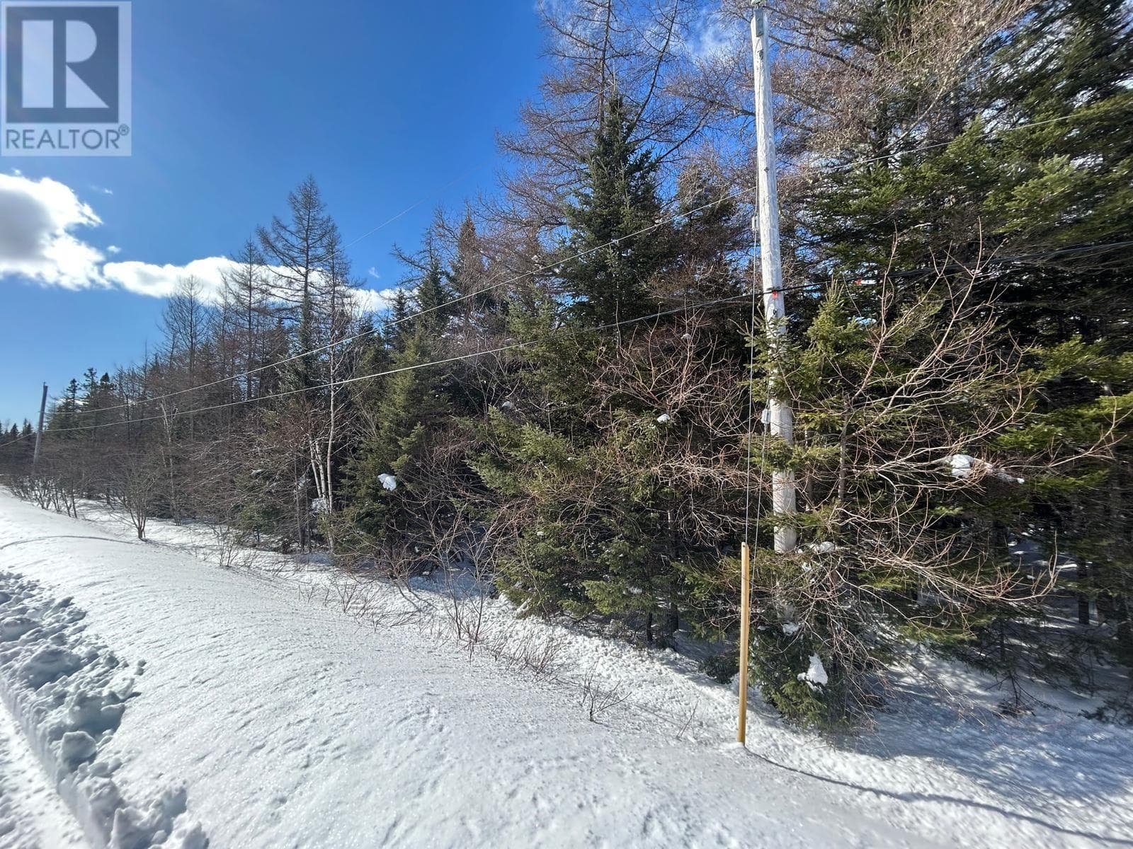 Surveyed waterfront lot on No 4 Highway, photo 5