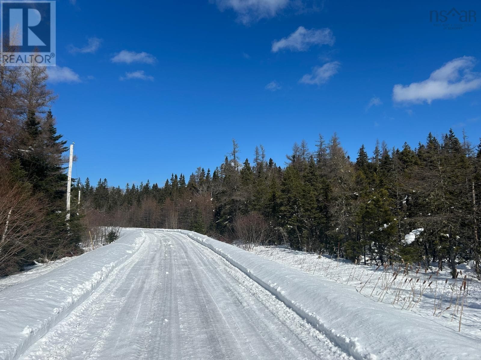 Surveyed waterfront lot on No 4 Highway, photo 6