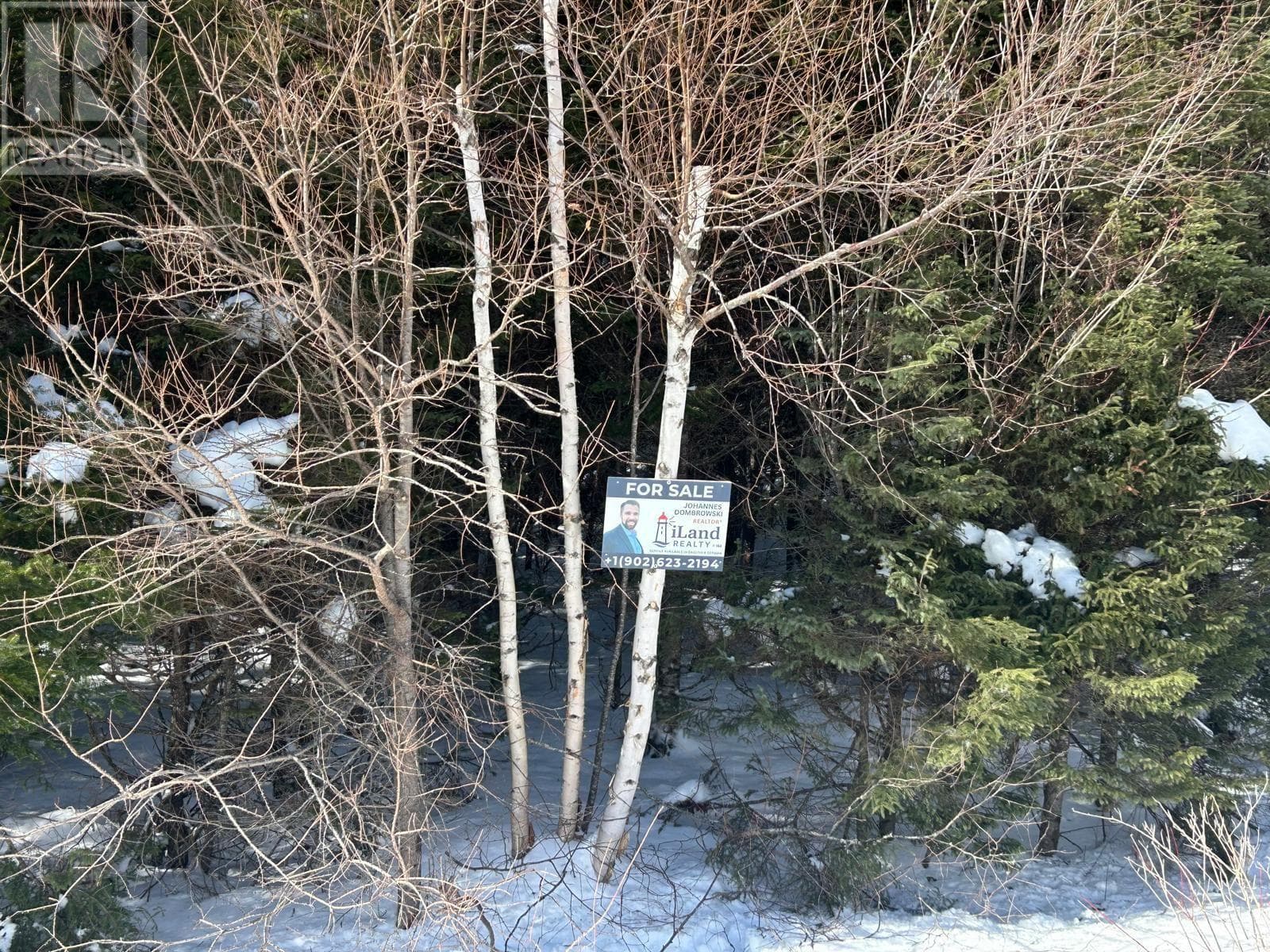 Surveyed waterfront lot on No 4 Highway, photo 7