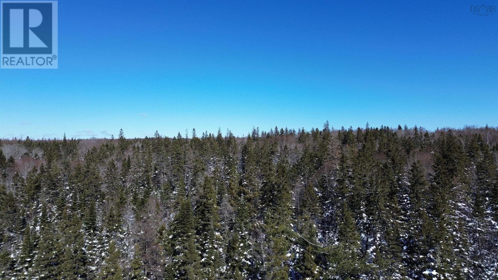 Surveyed waterfront lot on No 4 Highway, photo 9