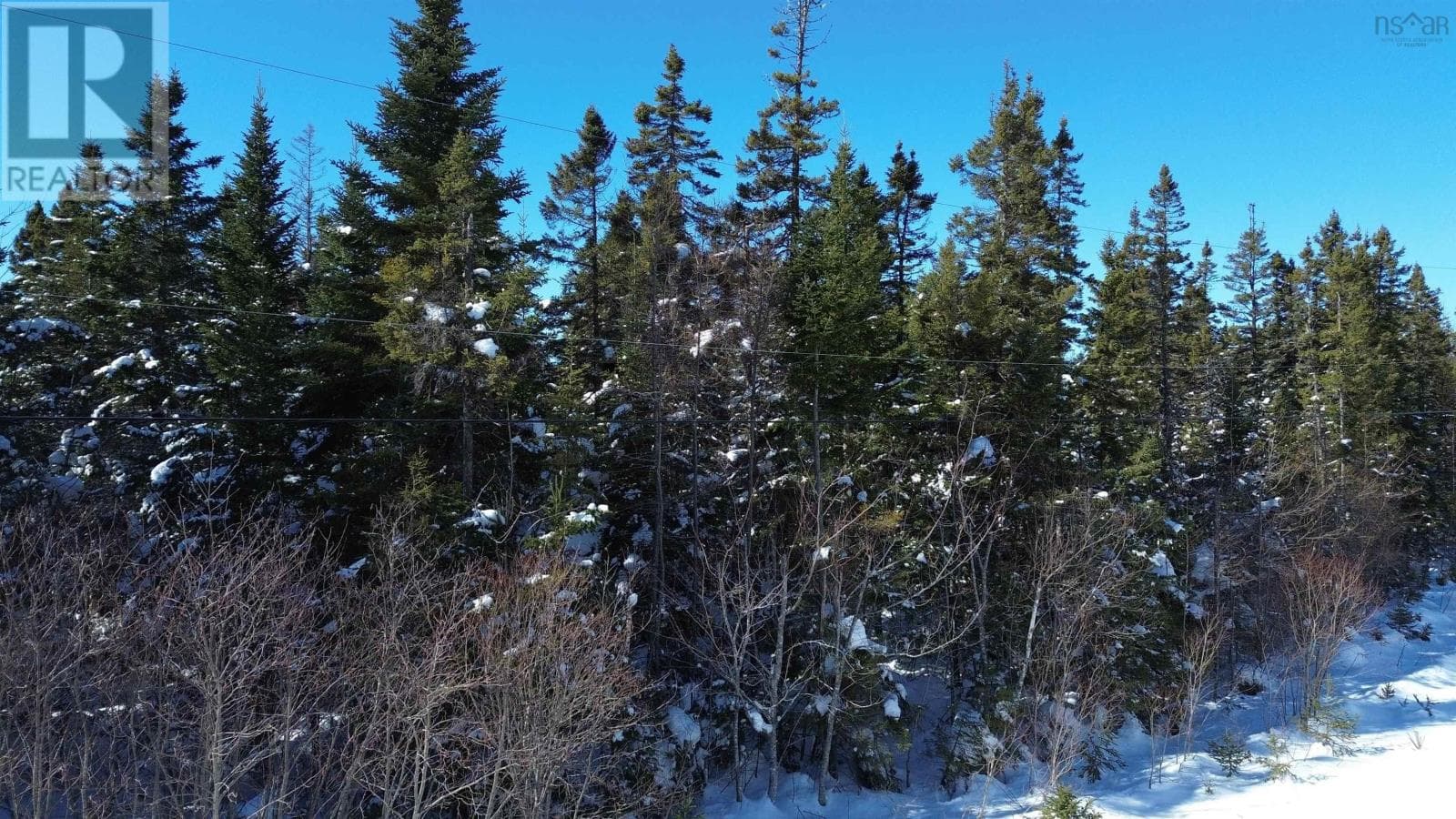 Surveyed waterfront lot on No 4 Highway, photo 10