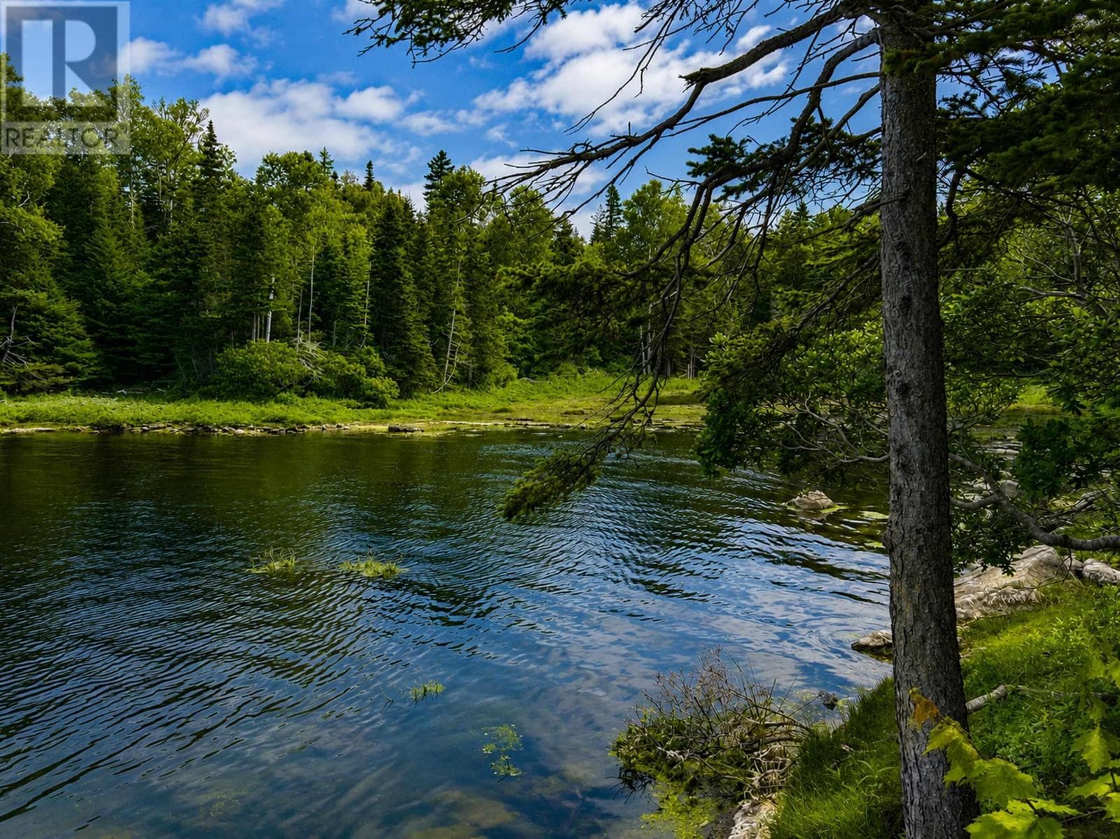 Sheltered waterfront lot in Auld's Cove, photo 1