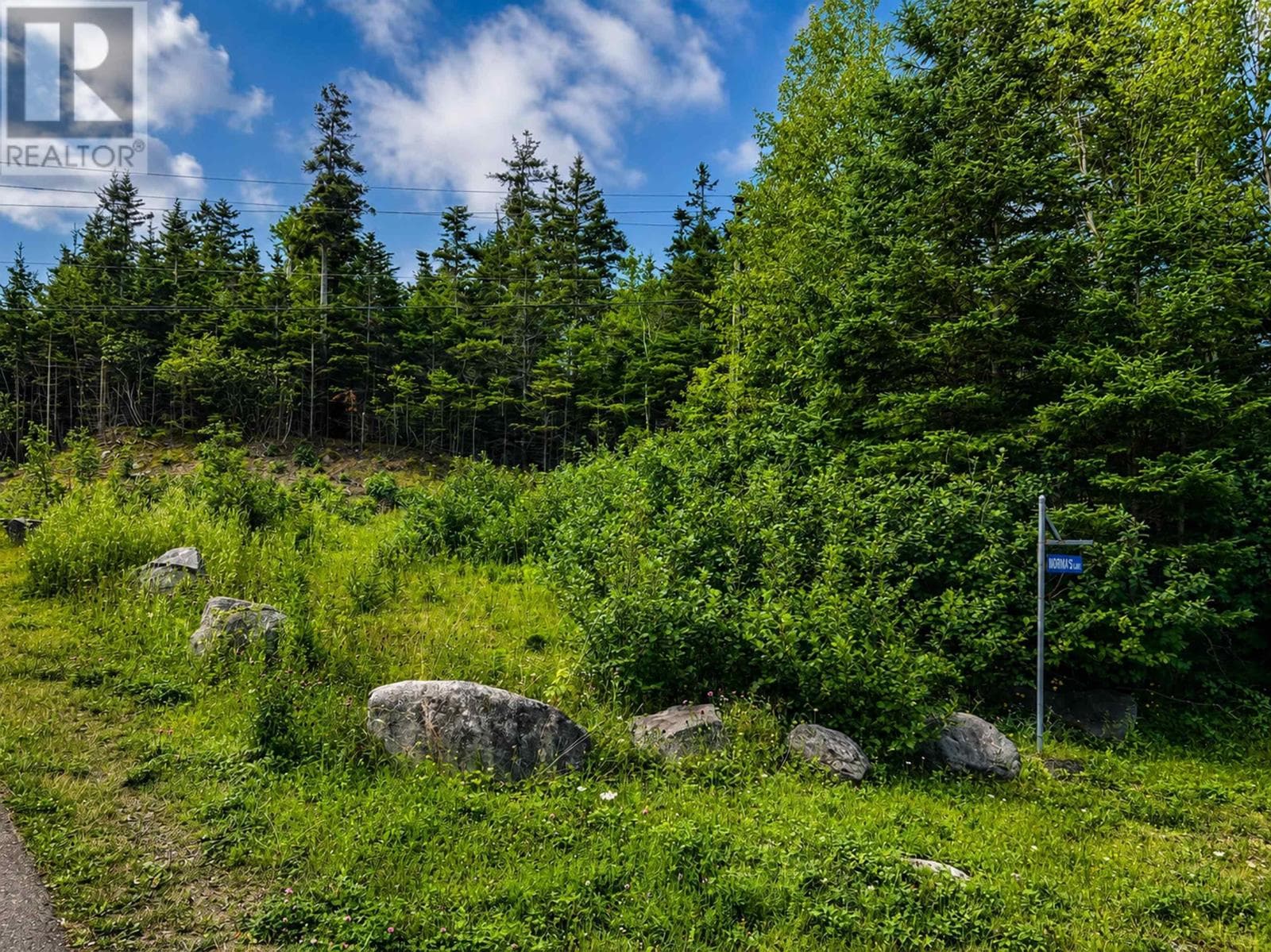 Sheltered waterfront lot in Auld's Cove, photo 2