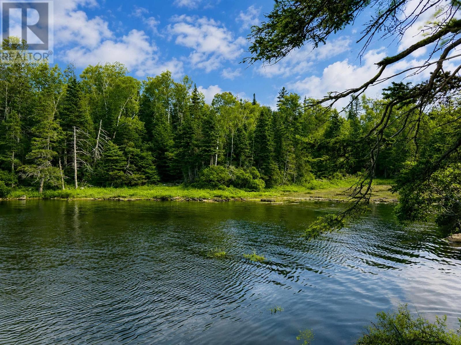 Sheltered waterfront lot in Auld's Cove, photo 4