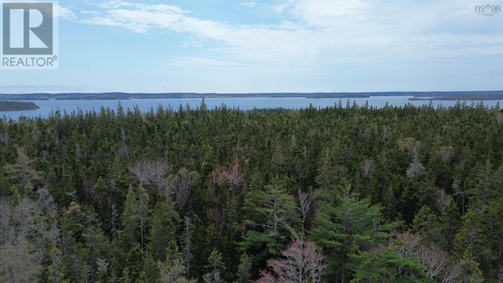 Private wooded building lot near River Bourgeois, photo 1