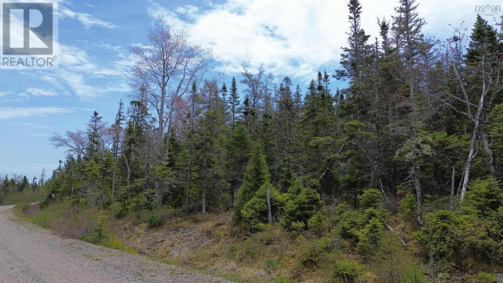 Private wooded building lot near River Bourgeois, photo 2