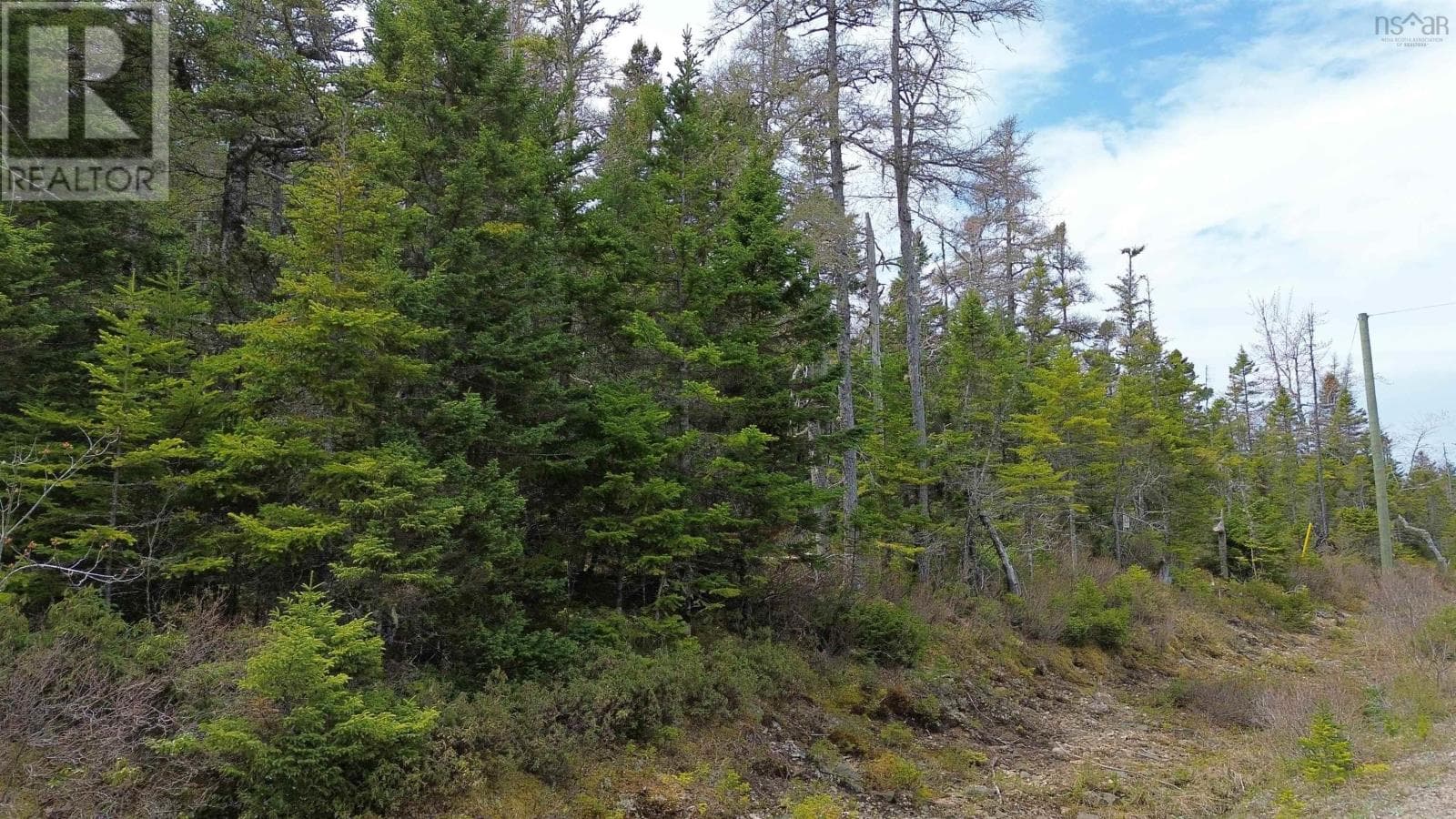 Private wooded building lot near River Bourgeois, photo 3