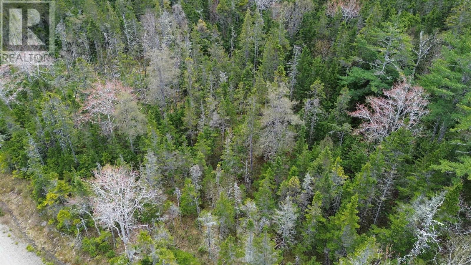 Private wooded building lot near River Bourgeois, photo 4