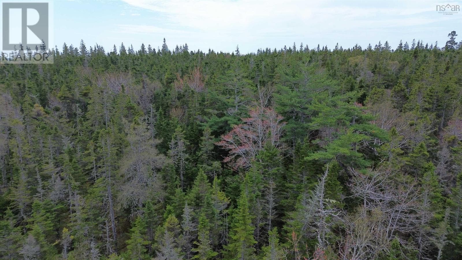 Private wooded building lot near River Bourgeois, photo 7
