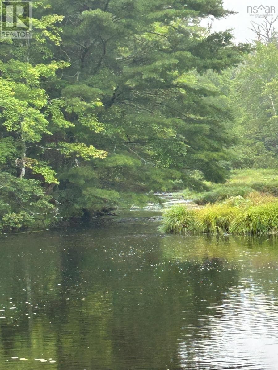 Waterfront acreage on the St. Marys River in Aspen, photo 1