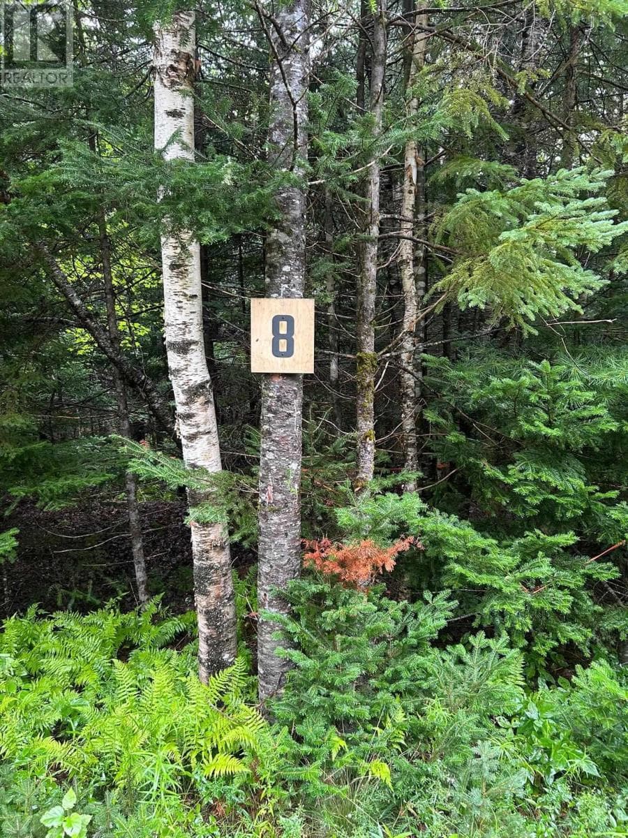 Waterfront acreage on the St. Marys River in Aspen, photo 2