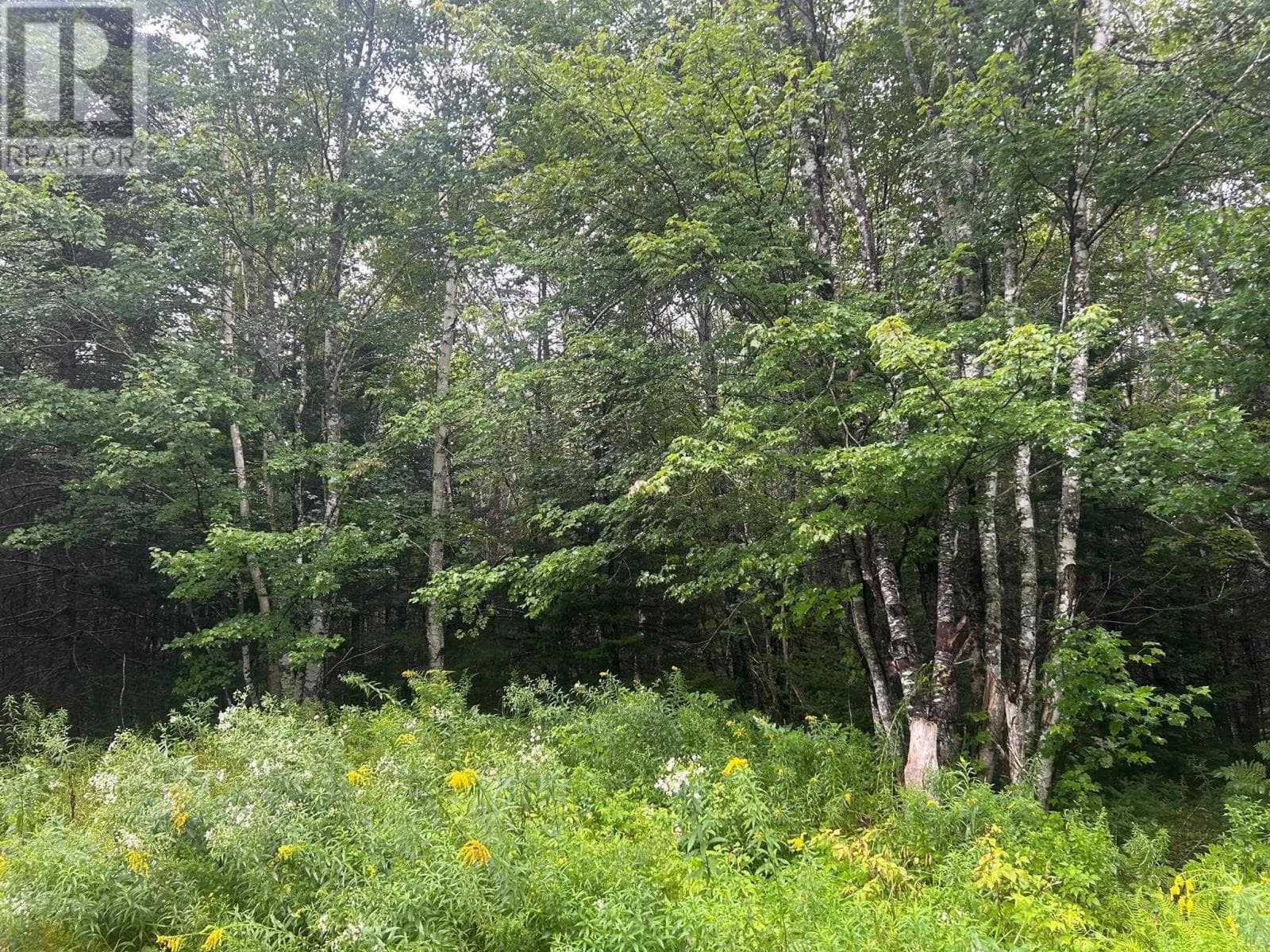 Waterfront acreage on the St. Marys River in Aspen, photo 3