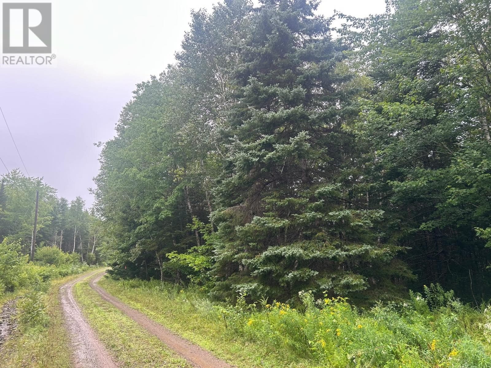 Waterfront acreage on the St. Marys River in Aspen, photo 4