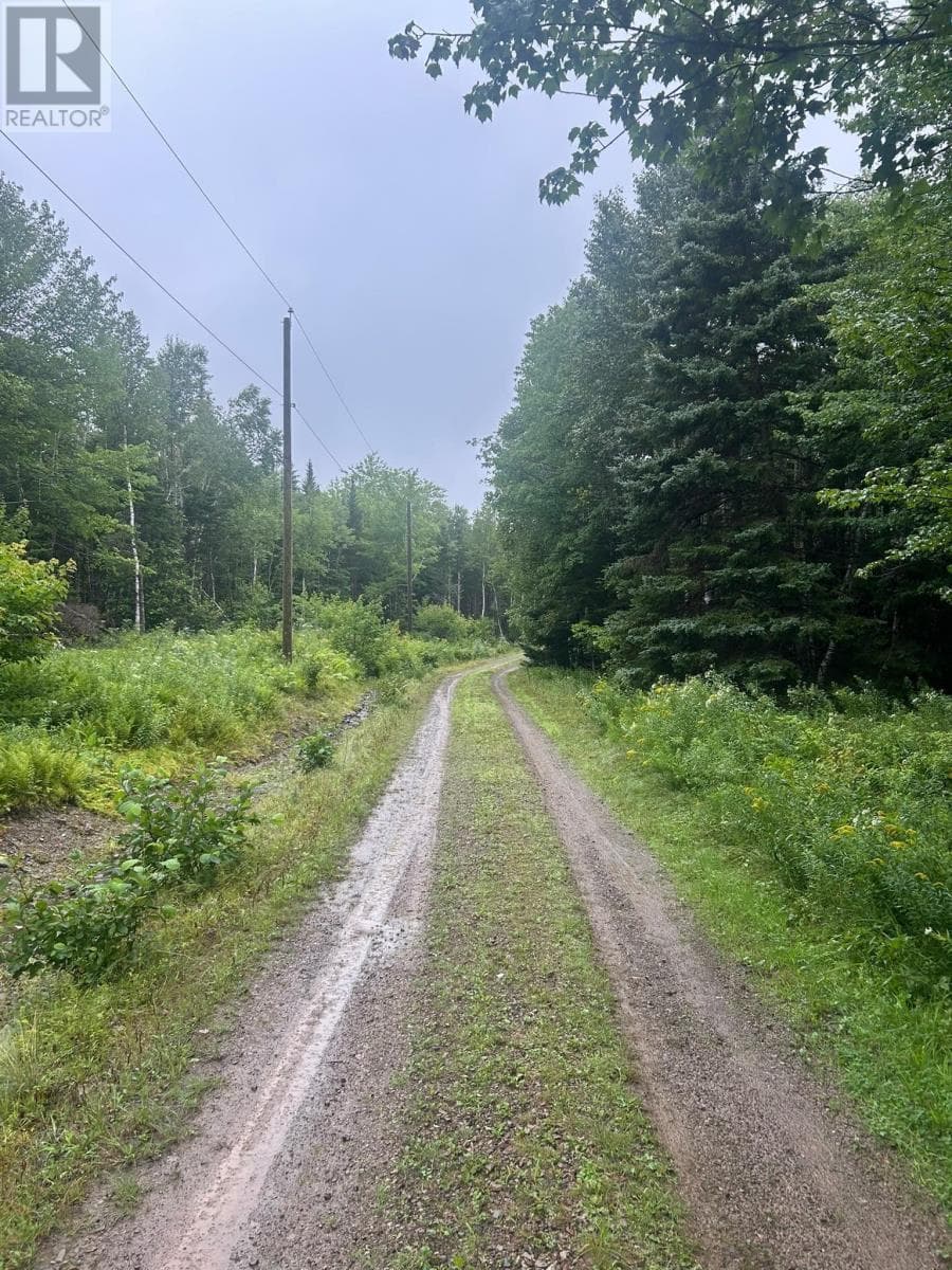 Waterfront acreage on the St. Marys River in Aspen, photo 5