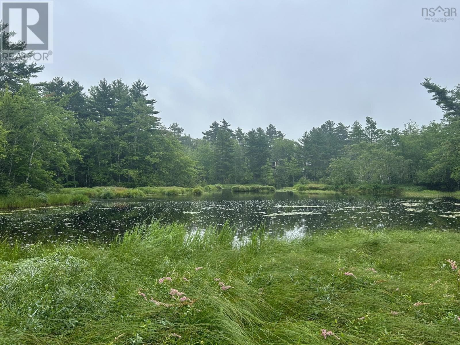 Waterfront acreage on the St. Marys River in Aspen, photo 6