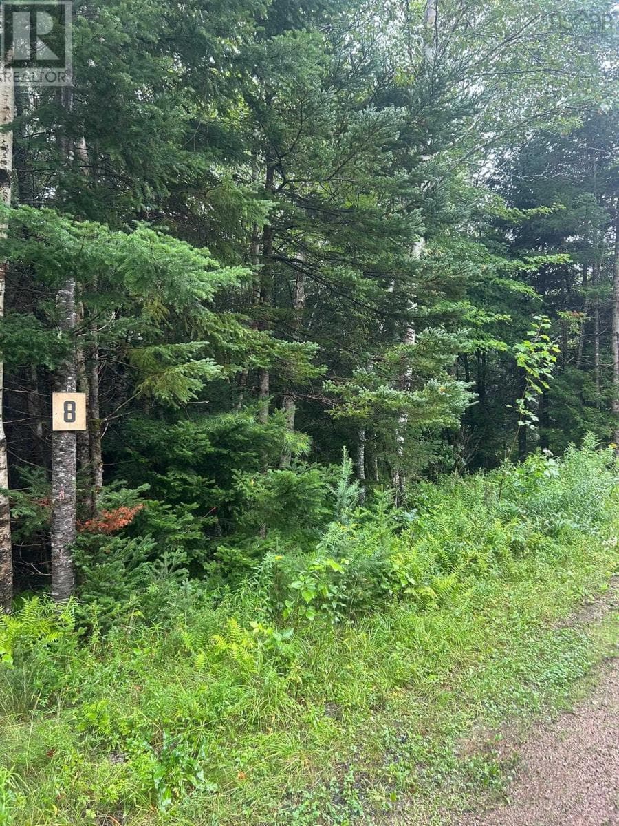 Waterfront acreage on the St. Marys River in Aspen, photo 7
