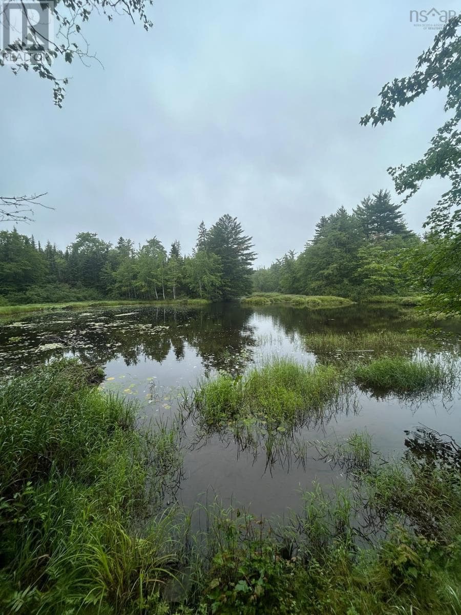 Waterfront acreage on the St. Marys River in Aspen, photo 9